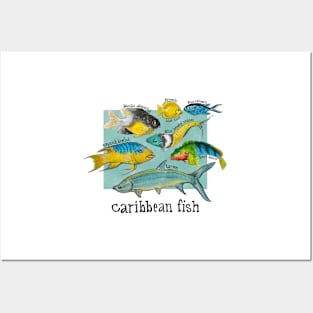 Caribbean tropical fish Posters and Art